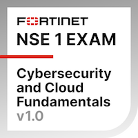 NSE 1