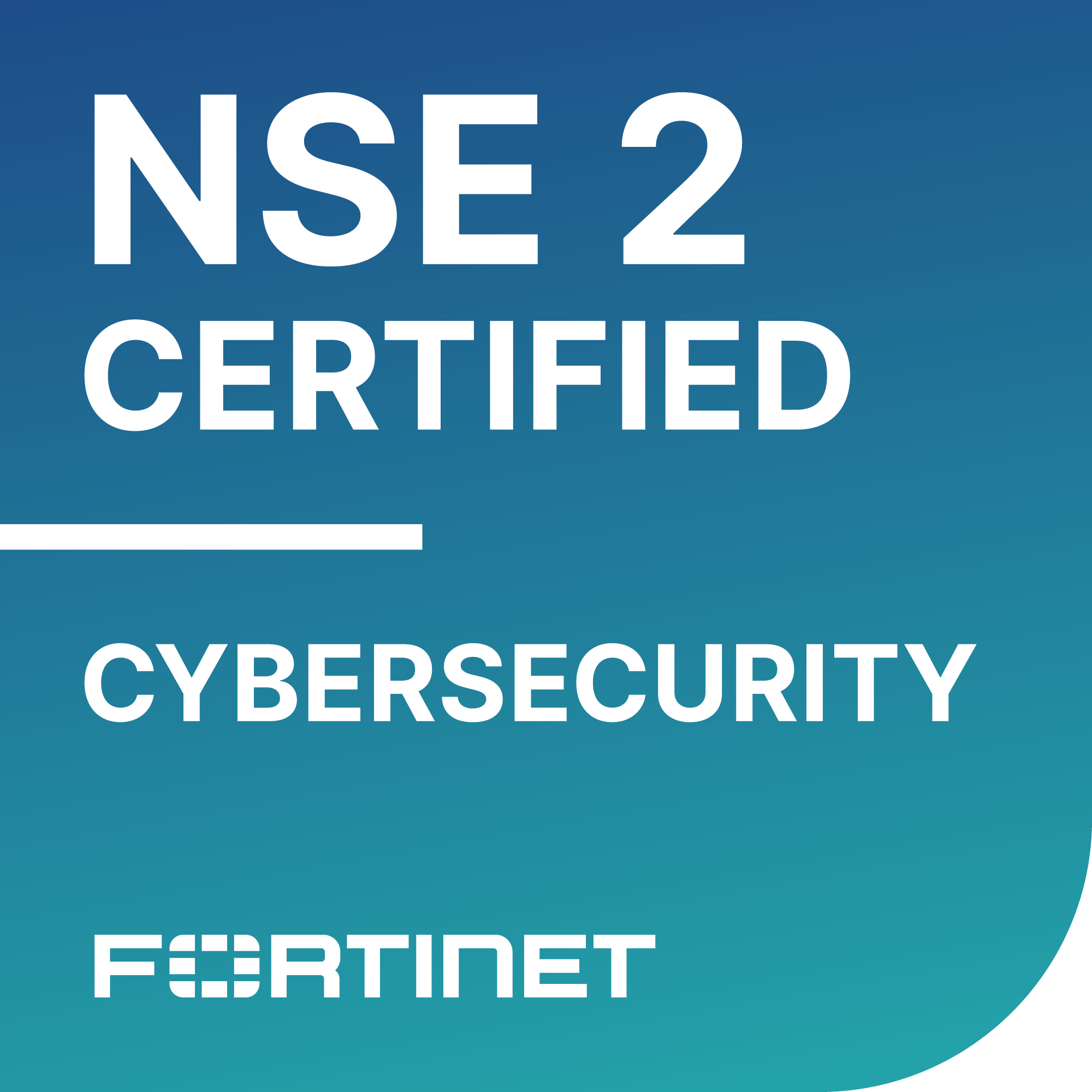NSE 2